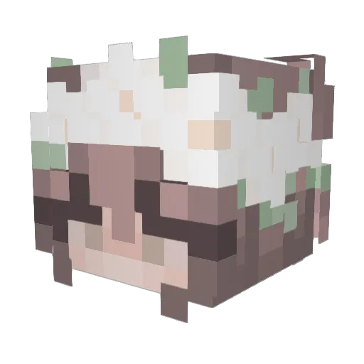 liad_11 Minecraft avatar head, 3D render