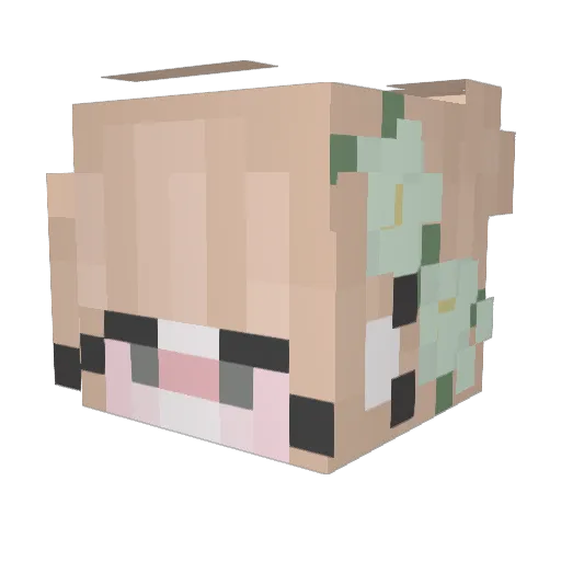 liahaiiii Minecraft avatar head, 3D render