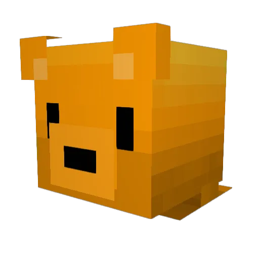 lialoaf Minecraft avatar head, 3D render