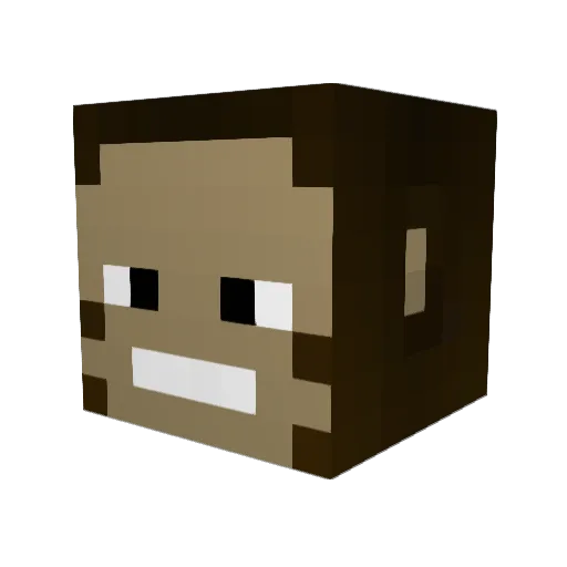 liam404 Minecraft avatar head, 3D render