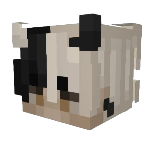 liam____ Minecraft avatar head, 3D render