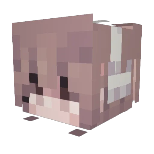 liam_boi Minecraft avatar head, 3D render