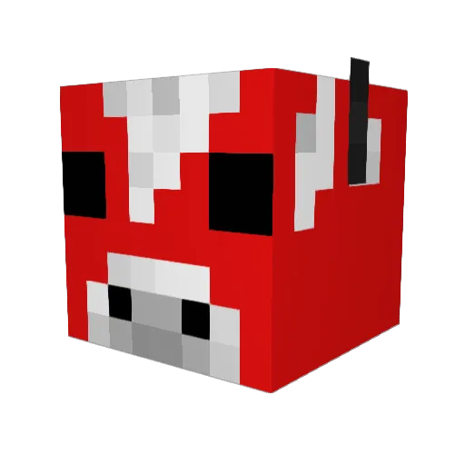 liamcollins66 Minecraft avatar head, 3D render