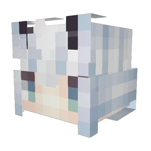 liame Minecraft avatar head, 3D render
