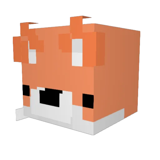 liamfriend Minecraft avatar head, 3D render
