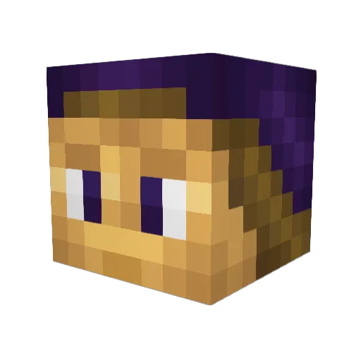 liamwarfield Minecraft avatar head, 3D render