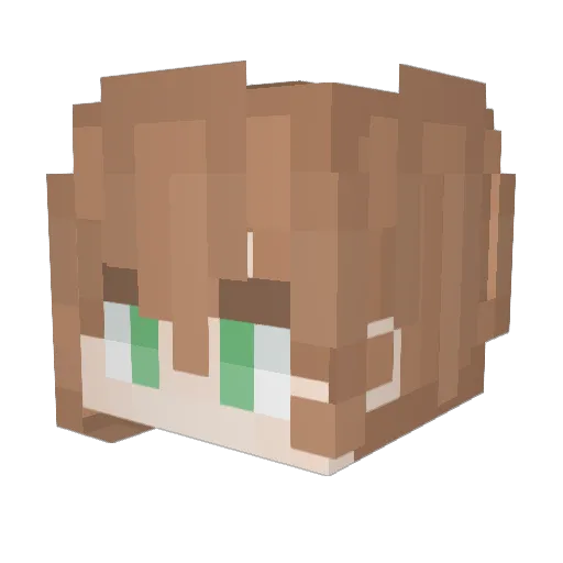 liangsan111 Minecraft avatar head, 3D render