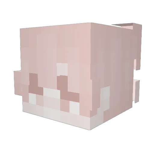 lianina Minecraft avatar head, 3D render