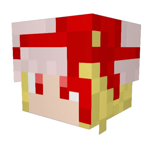 libra0425 Minecraft avatar head, 3D render