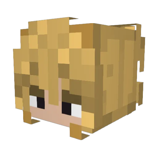 libunka66 Minecraft avatar head, 3D render