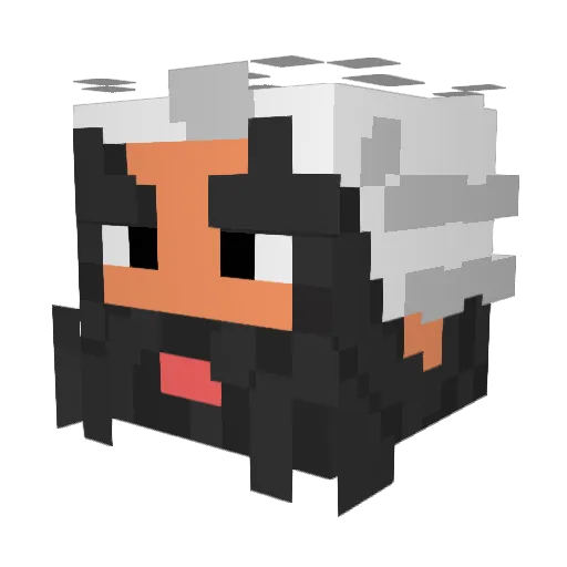 licenciadomaster Minecraft avatar head, 3D render