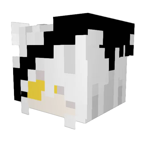 lichenlotte Minecraft avatar head, 3D render