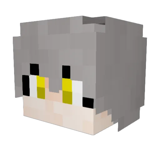 lidarr_ Minecraft avatar head, 3D render