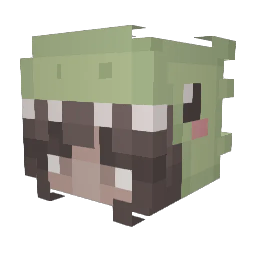 liddeeah Minecraft avatar head, 3D render