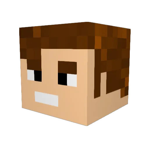 lidlohntsich Minecraft avatar head, 3D render