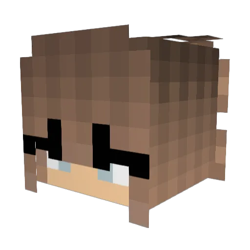 lidric300 Minecraft avatar head, 3D render
