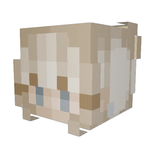 liebelenaa Minecraft avatar head, 3D render