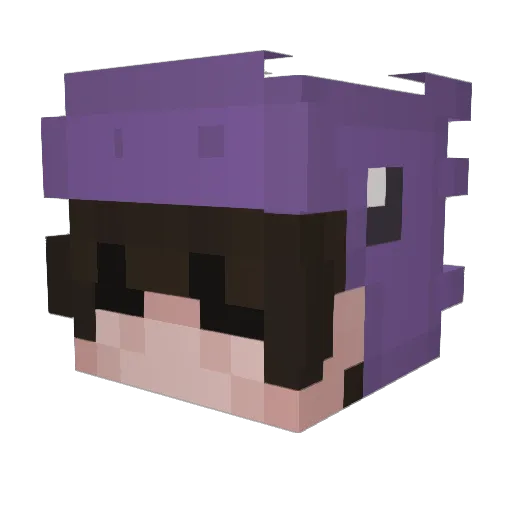 liedtosnake Minecraft avatar head, 3D render