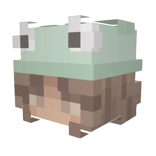 lieke1411 Minecraft avatar head, 3D render