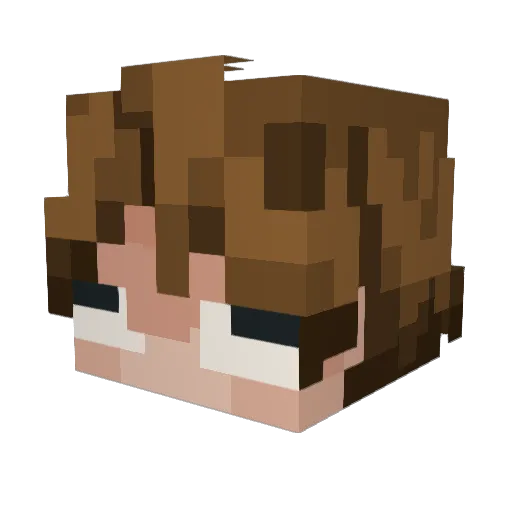 liel1 Minecraft avatar head, 3D render