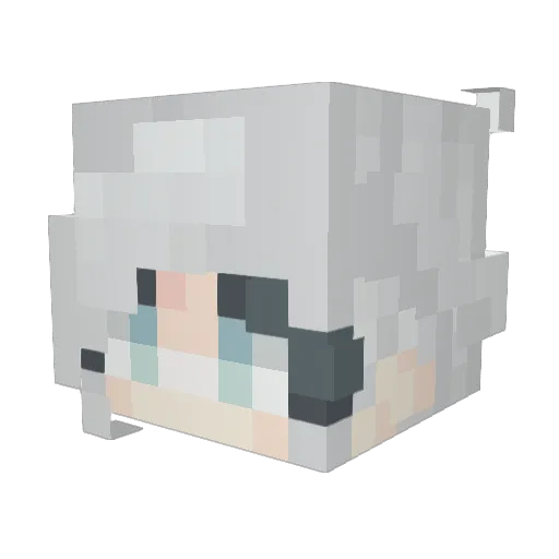 lies_chen Minecraft avatar head, 3D render