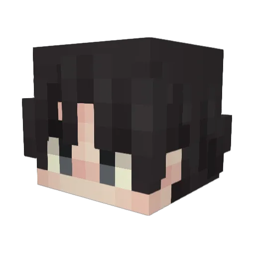 liesandpies_ Minecraft avatar head, 3D render