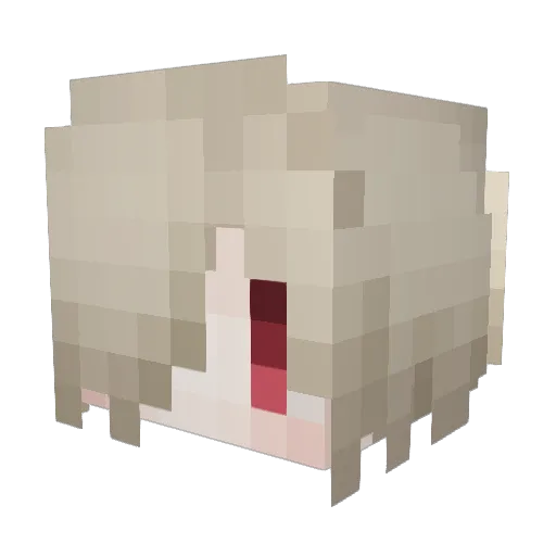 lieu_lieu Minecraft avatar head, 3D render