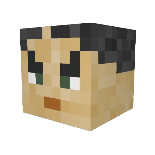 lieuwelwd Minecraft avatar head, 3D render