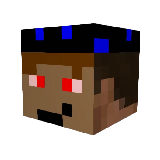 life_enjoyer Minecraft avatar head, 3D render