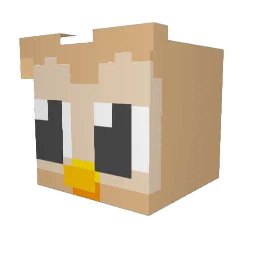 life_ks Minecraft avatar head, 3D render