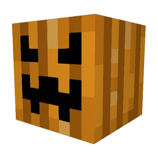 lifelover333 Minecraft avatar head, 3D render