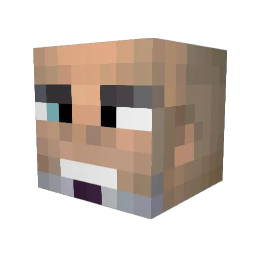 lifesmeaningless Minecraft avatar head, 3D render
