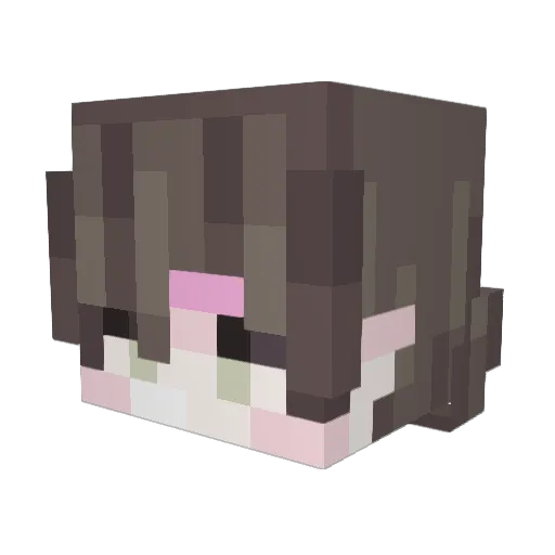 lifeuo Minecraft avatar head, 3D render