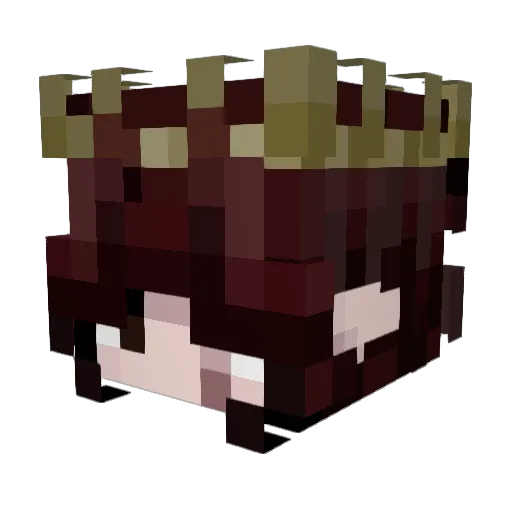 lifewithsandraaa Minecraft avatar head, 3D render