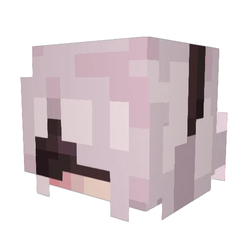 light77777 Minecraft avatar head, 3D render
