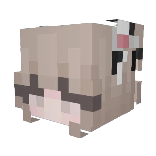 lightblue456 Minecraft avatar head, 3D render