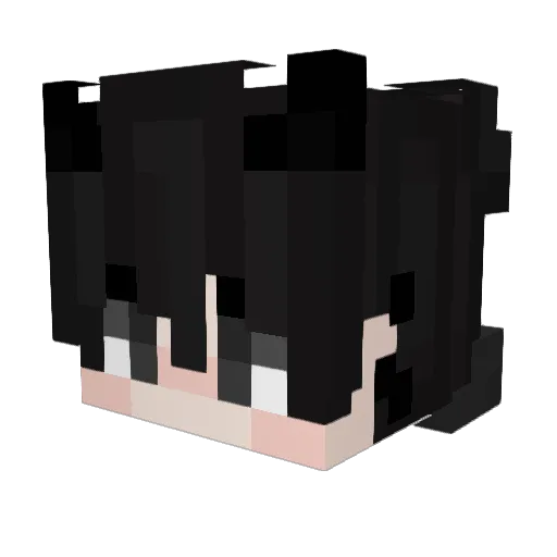 lightcon Minecraft avatar head, 3D render