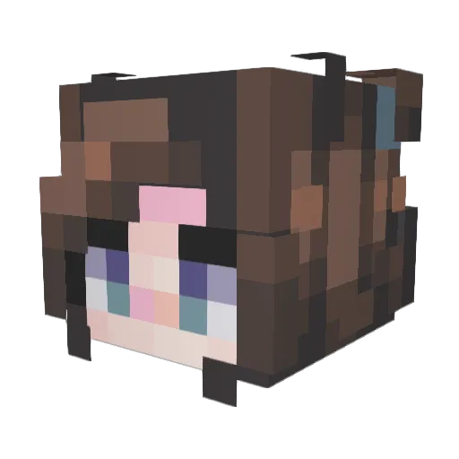 lighteningbug10 Minecraft avatar head, 3D render