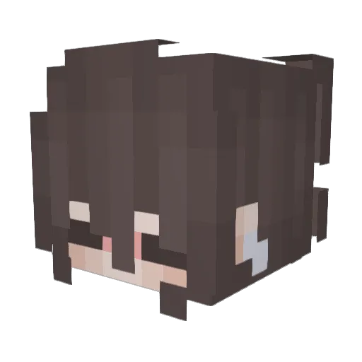 lightii Minecraft avatar head, 3D render