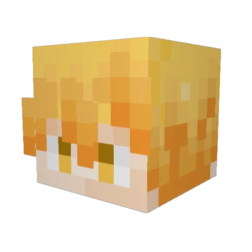 lightninblade17 Minecraft avatar head, 3D render