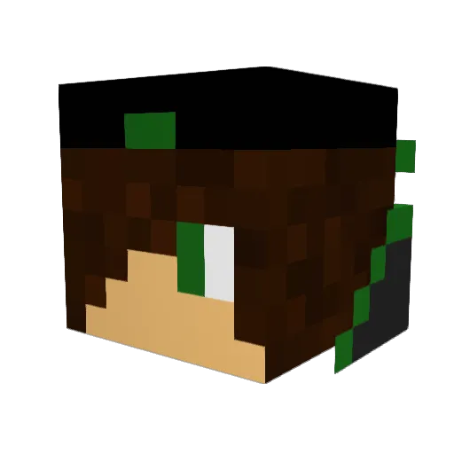 lightningbro786 Minecraft avatar head, 3D render
