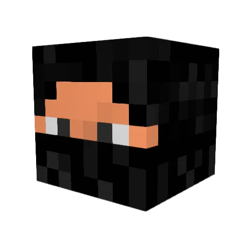lightninglord861 Minecraft avatar head, 3D render