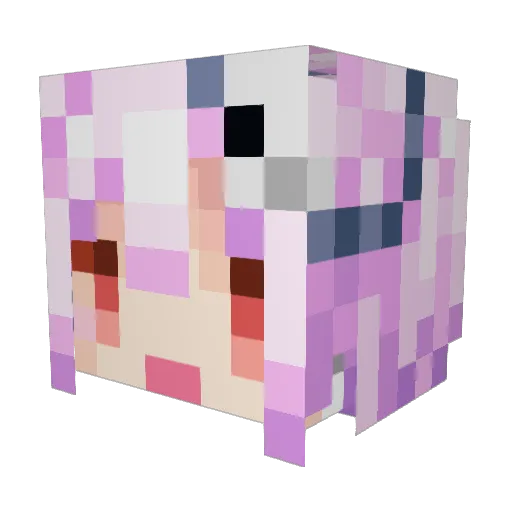 lightoon2 Minecraft avatar head, 3D render