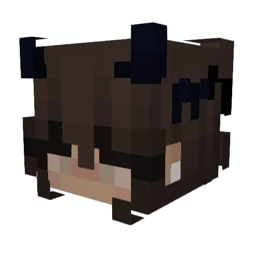 lightx0 Minecraft avatar head, 3D render