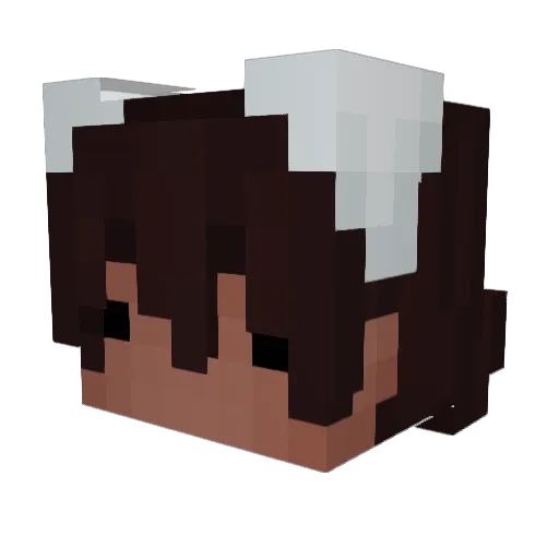lightywighty Minecraft avatar head, 3D render