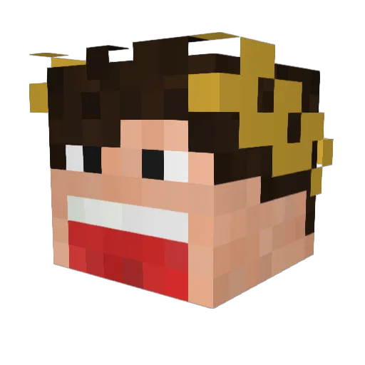 ligusterhaek Minecraft avatar head, 3D render