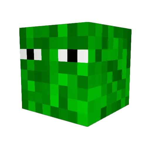 lihaiyang8555 Minecraft avatar head, 3D render