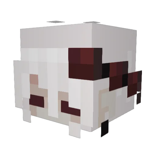 liimb0_ Minecraft avatar head, 3D render