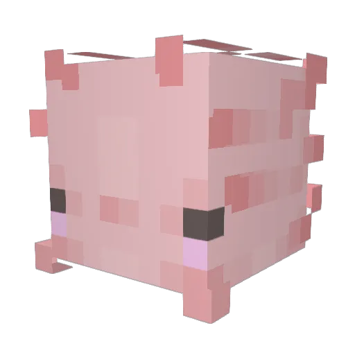 liimeecatt Minecraft avatar head, 3D render