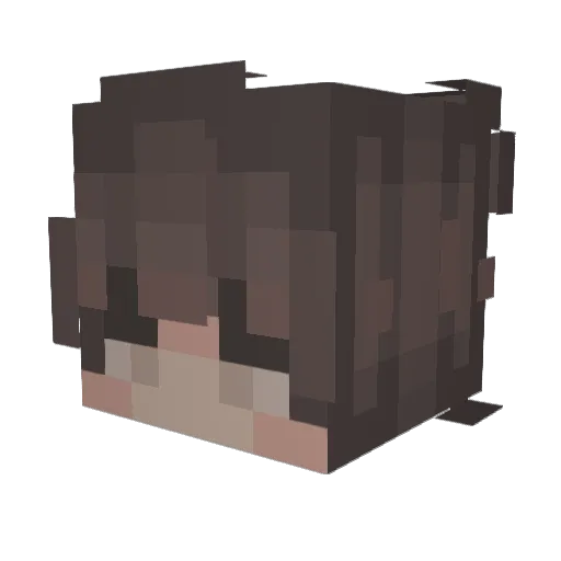 liiney Minecraft avatar head, 3D render